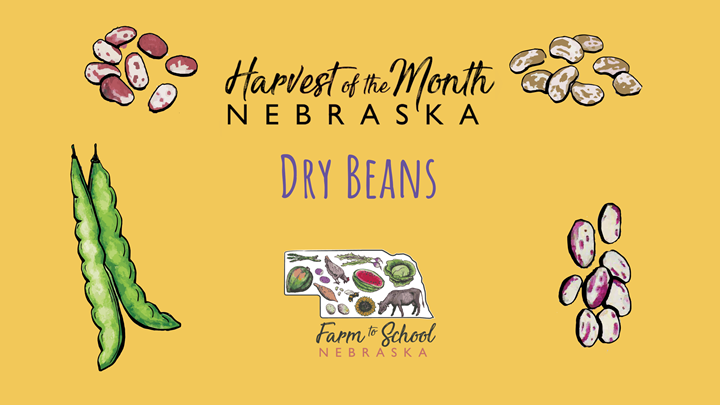Thumbnail image for Harvest of the Month: Potatoes, Squash, Beef, Honey, Dry Beans