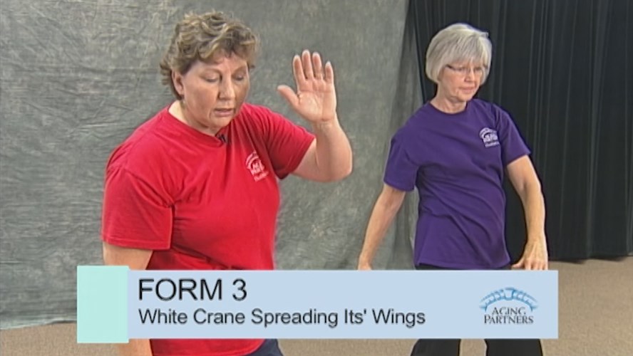Tai Chi: 24 Forms Show 1